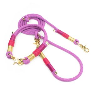 Hundeleine Halsband Pink Gold